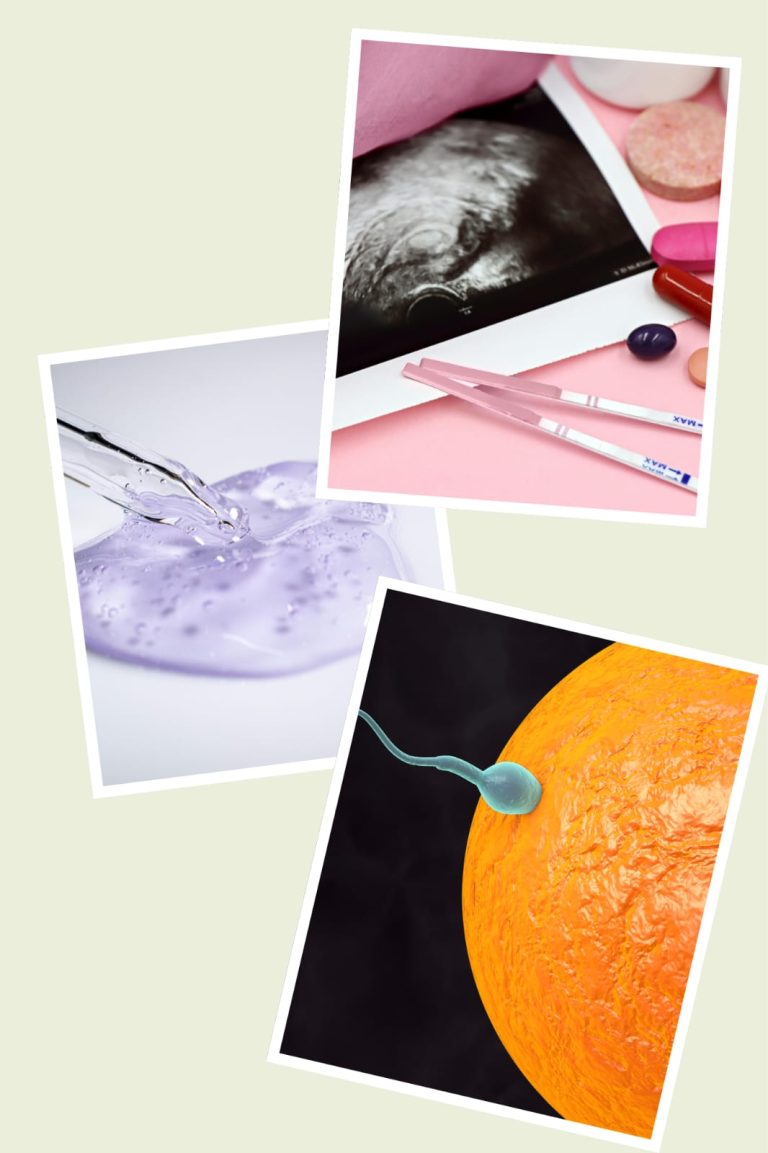 Illustration du parcours de fertilité avec spermatozoïde, ovule, test de grossesse, échographie et accompagnement périnatal.
